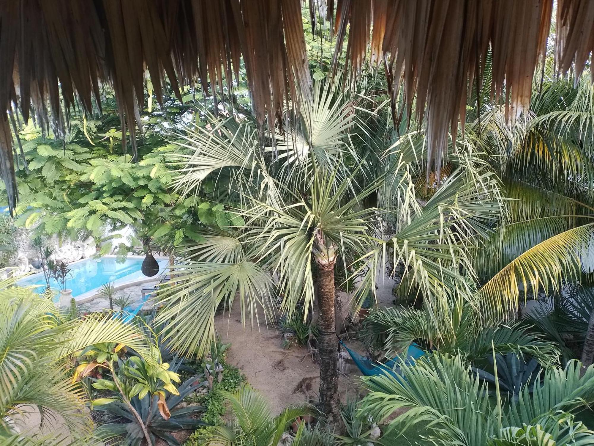Готель Zamunda Garden View Тулум Екстер'єр фото