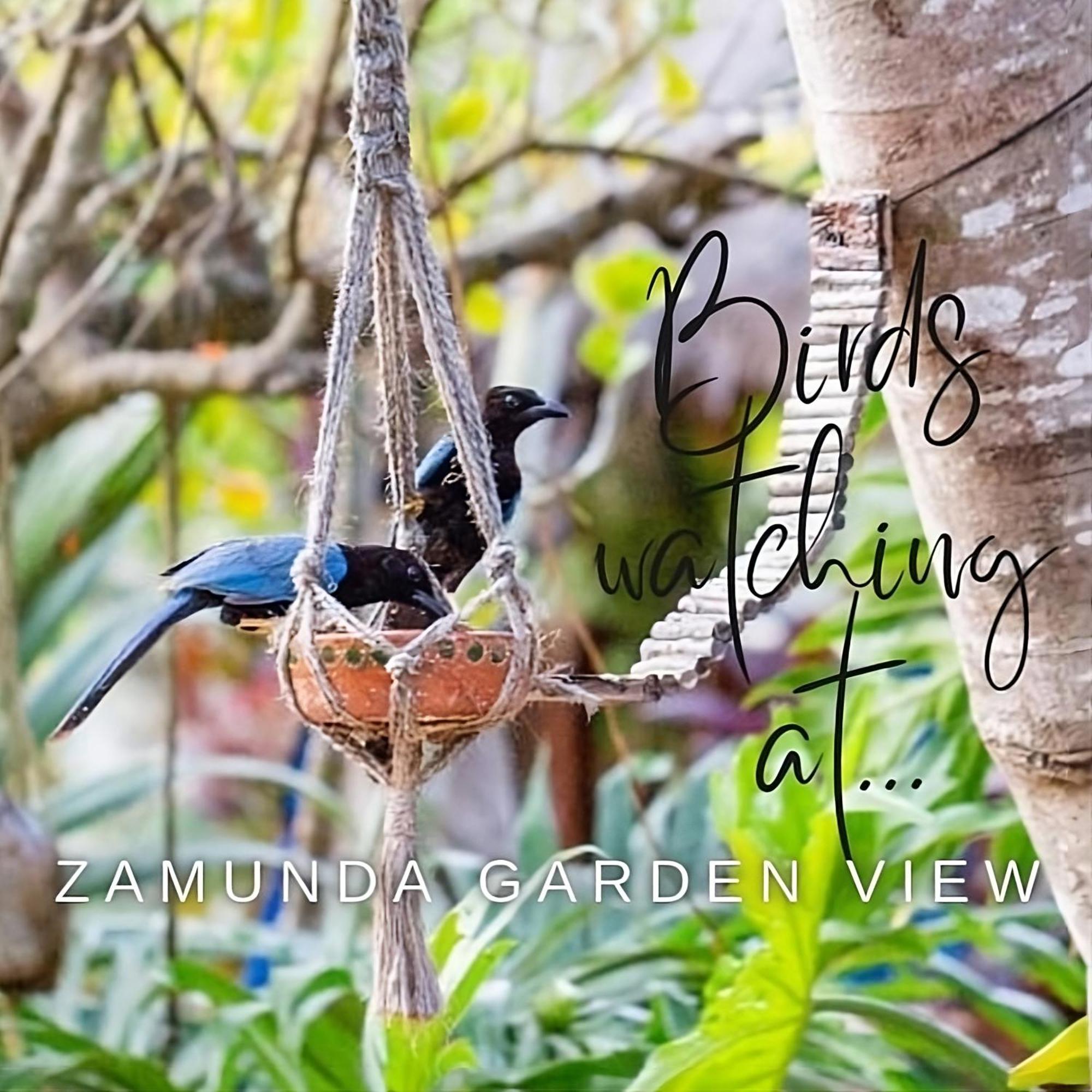 Готель Zamunda Garden View Тулум Екстер'єр фото
